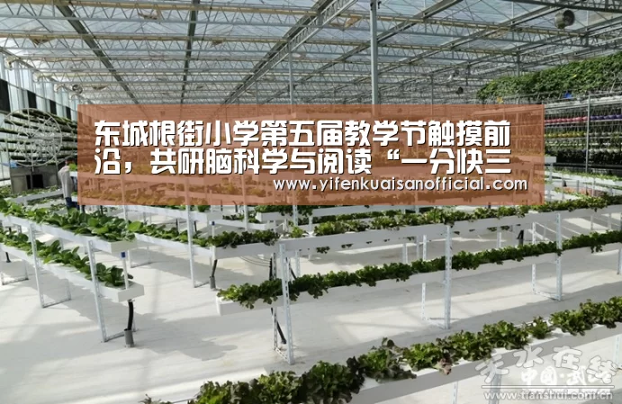 东城根街小学第五届教学节触摸前沿,共研脑科学与阅读“一分快三app下载”(图4) 一分快三官网