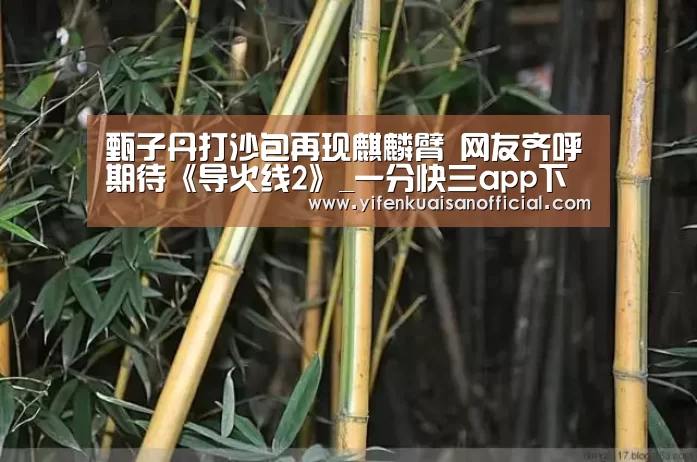 甄子丹打沙包再现麒麟臂 网友齐呼期待《导火线2》_一分快三app下载(图1) 一分快三app下载