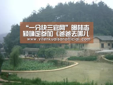 “一分快三官网”曝林志颖确定参加《爸爸去哪儿2》 父子350万代言广告(图1) 一分快三app下载